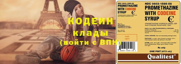 ECSTASY Бородино