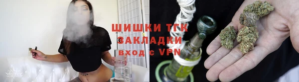 ECSTASY Бородино