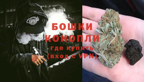 ECSTASY Бородино