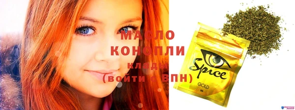 индика Дмитров