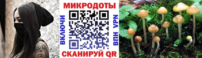 где продают   Миньяр  Галлюциногенные грибы MAGIC MUSHROOMS 